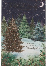 To All The Family At Christmas
